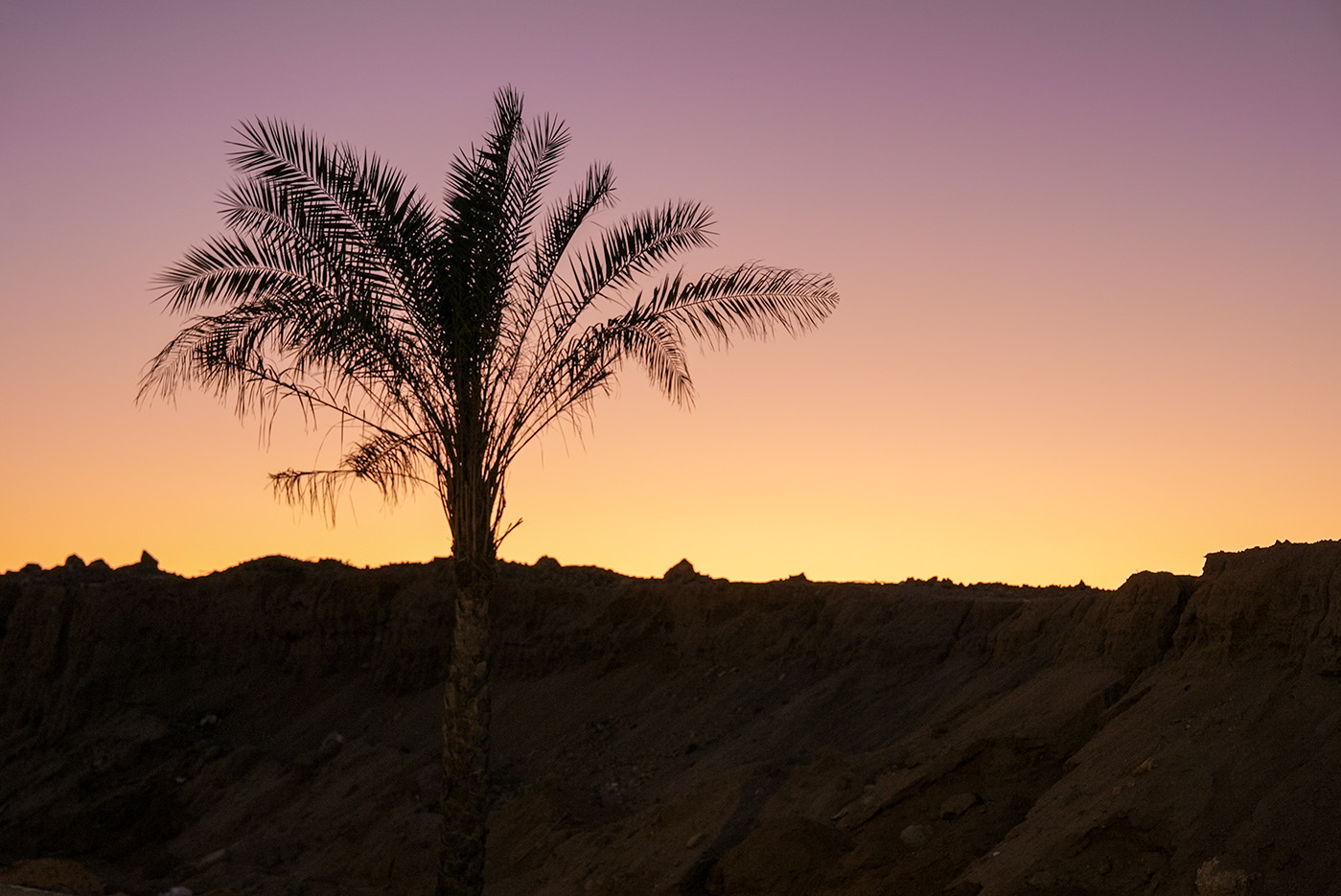 Ritorno a Sharm